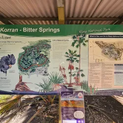 Bitter Springs - Pine Creek