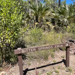 Bitter Springs - Pine Creek