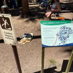 Bitter Springs - Pine Creek