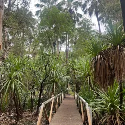 Bitter Springs - Pine Creek