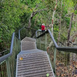 Florence Falls - Litchfield National Park - Pine Creek