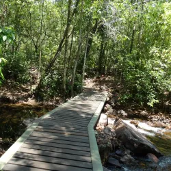Florence Falls - Litchfield National Park - Pine Creek