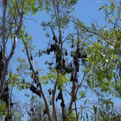 Katherine Gorge - Nitmiluk National Park - Pine Creek