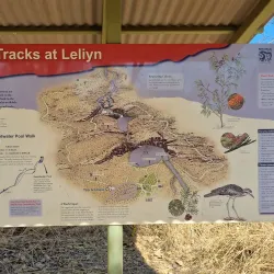 Leliyn (Edith Falls) - Nitmiluk National Park - Pine Creek