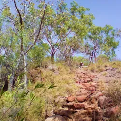 Leliyn (Edith Falls) - Nitmiluk National Park - Pine Creek