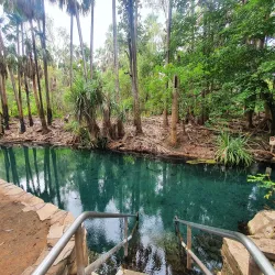 Mataranka Thermal Pools - Pine Creek