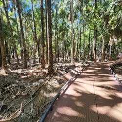 Mataranka Thermal Pools - Pine Creek