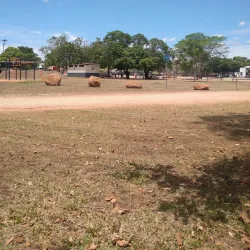 Pine Creek Heritage Walk - Pine Creek