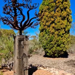 Australian Arid Lands Botanic Garden - Port Augusta