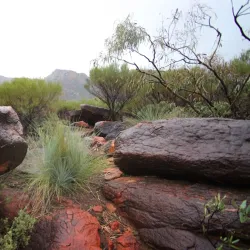 Flinders Ranges National Park (nearby) - Port Augusta