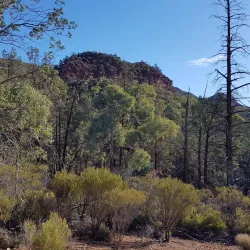Flinders Ranges National Park (nearby) - Port Augusta