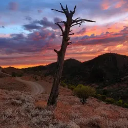 Flinders Ranges National Park (nearby) - Port Augusta