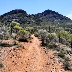 Flinders Ranges National Park (nearby) - Port Augusta