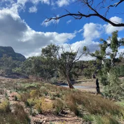 Flinders Ranges National Park (nearby) - Port Augusta