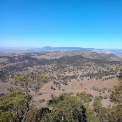 Mount Brown Conservation Park - Port Augusta