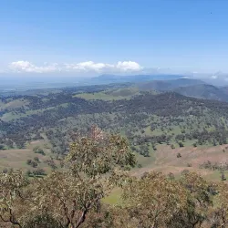 Mount Brown Conservation Park - Port Augusta