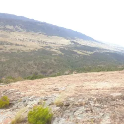 Mount Brown Conservation Park - Port Augusta