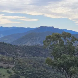 Mount Brown Conservation Park - Port Augusta