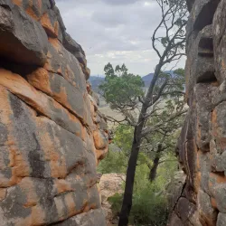 Mount Brown Conservation Park - Port Augusta