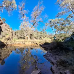 Mount Brown Conservation Park - Port Augusta