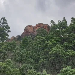 Mount Brown Conservation Park - Port Augusta
