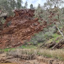 Mount Brown Conservation Park - Port Augusta