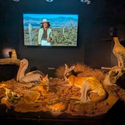 Port Augusta Visitor Information Centre - Port Augusta