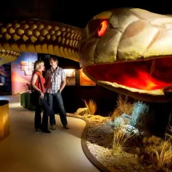 Wadlata Outback Centre - Port Augusta