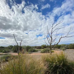Wadlata Outback Centre - Port Augusta