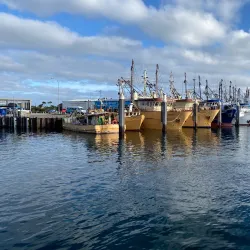 Port Lincoln Marina - Port Lincoln