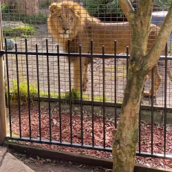 Billabong Zoo - Port Macquarie