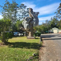 Billabong Zoo - Port Macquarie