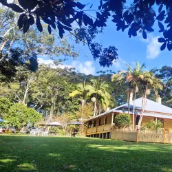 Koala Hospital - Port Macquarie
