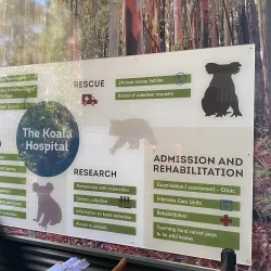 Koala Hospital - Port Macquarie