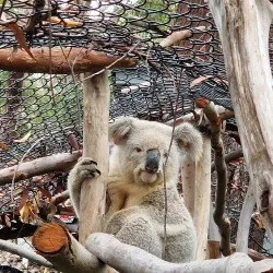 Roto House - Port Macquarie