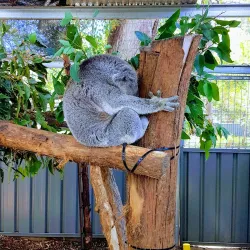 Roto House - Port Macquarie