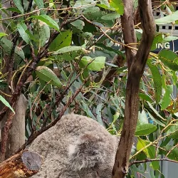 Roto House - Port Macquarie