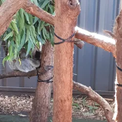 Roto House - Port Macquarie