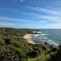 Sea Acres Rainforest Centre - Port Macquarie