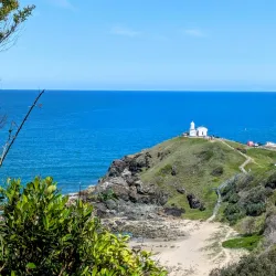 Sea Acres Rainforest Centre - Port Macquarie