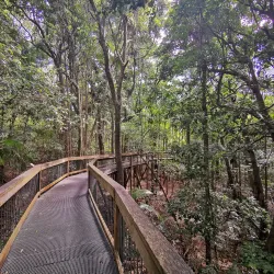 Sea Acres Rainforest Centre - Port Macquarie