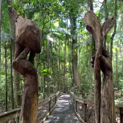 Sea Acres Rainforest Centre - Port Macquarie