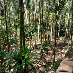Sea Acres Rainforest Centre - Port Macquarie