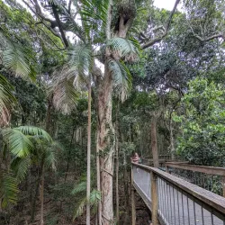 Sea Acres Rainforest Centre - Port Macquarie