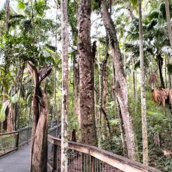 Sea Acres Rainforest Centre - Port Macquarie