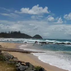Sea Acres Rainforest Centre - Port Macquarie