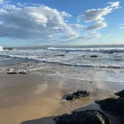 Town Beach - Port Macquarie