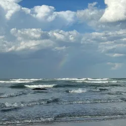 Town Beach - Port Macquarie