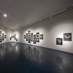 Port Pirie Regional Art Gallery - Port Pirie