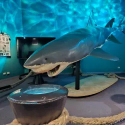 Port Pirie Regional Tourism and Arts Centre - Port Pirie